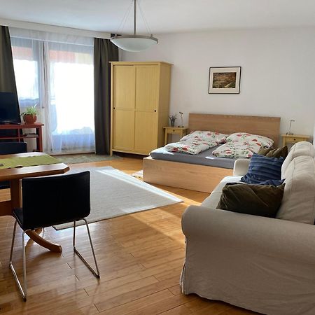 Apartment Grazbachgasse - Gratis Tiefgaragenplatz Exterior photo